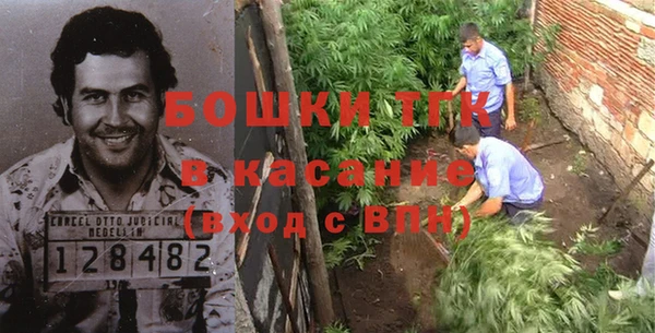 шишки Баксан