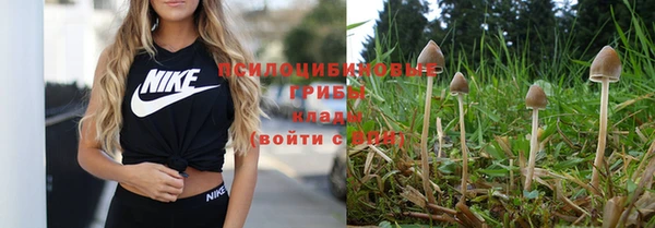 шишки Баксан