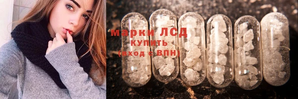 шишки Баксан