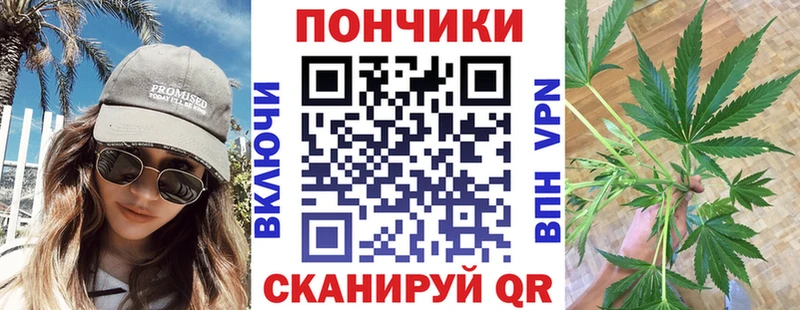 Шишки марихуана сатива  Безенчук 